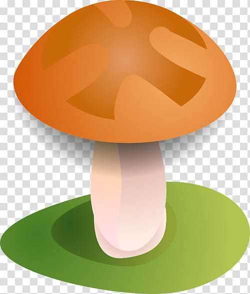 Mushroom, Fly Agaric, Fungus, Edible Mushroom, Mushroom Hunting, Common Mushroom, Pileus, Gilled Mushrooms transparent background PNG clipart