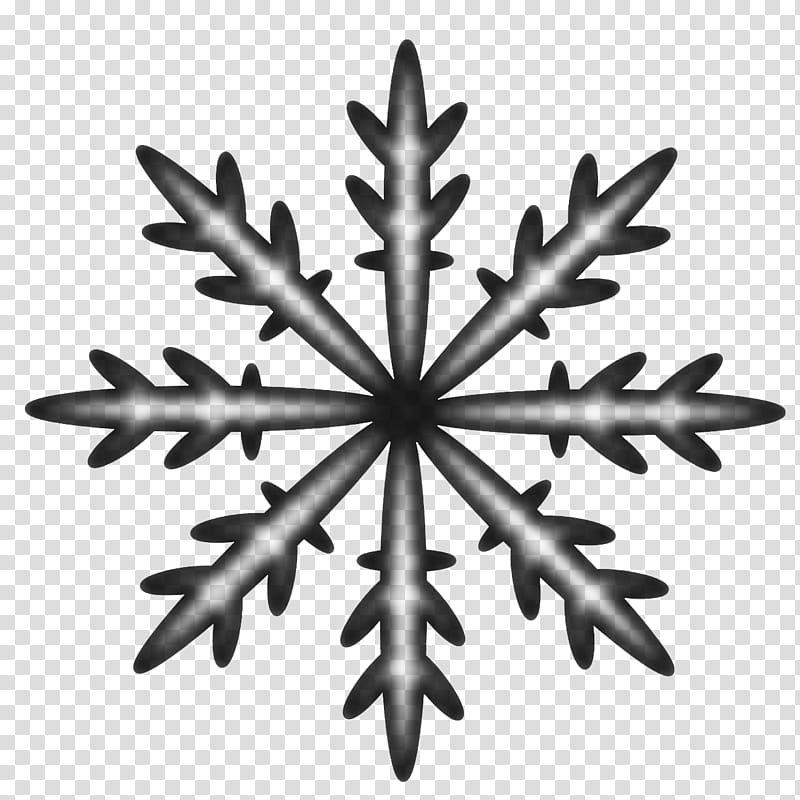 Ice Snow Flakes , gray illustration transparent background PNG clipart