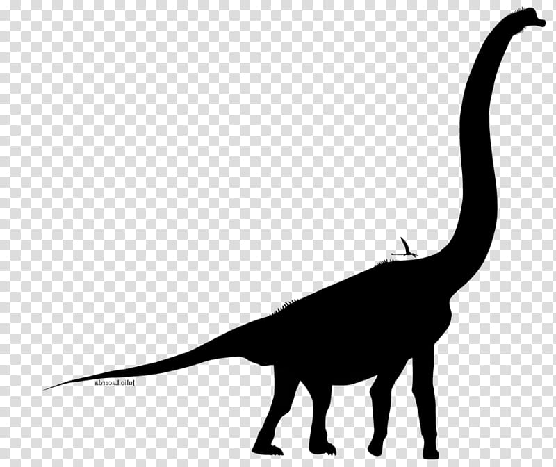 Dinosaur, Tyrannosaurus, Paleoart Visions Of The Prehistoric Past, Paleontology, Blog, Anatomy, Crassigyrinus, Animal transparent background PNG clipart
