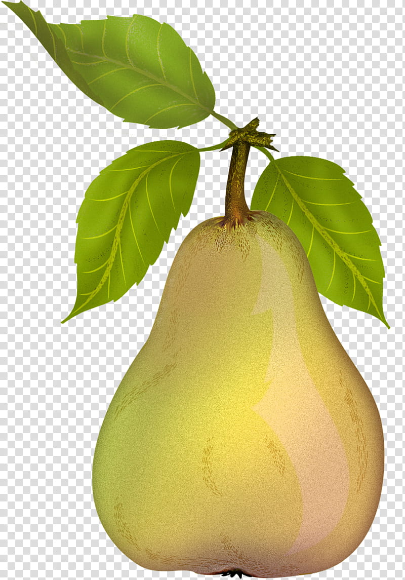 Pears , yellow and green illustration transparent background PNG clipart
