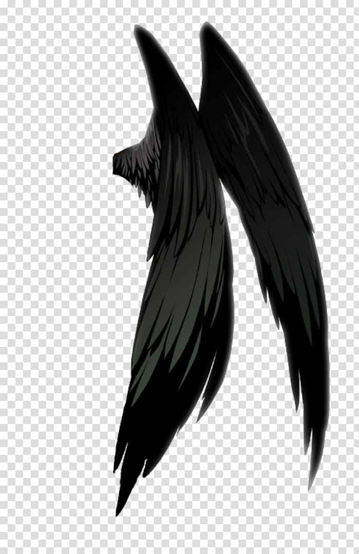 Bird Wing, Devil, Demon, Angel, Drawing, Shoulder Angel, Raven, Beak transparent background PNG clipart