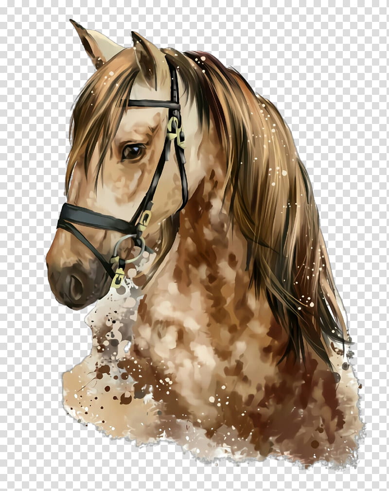 horse hair mane stallion bridle, Sorrel, Head, Animal Figure, Mare, Brown, Snout, Liver transparent background PNG clipart