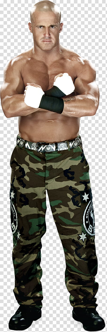 Joey Mercury Stats transparent background PNG clipart