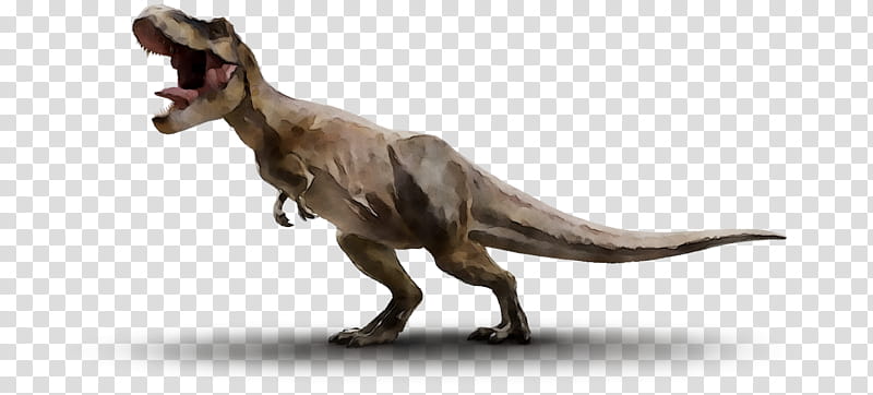Jurassic Park, Tyrannosaurus, Velociraptor, Brachiosaurus, Triceratops, Stegosaurus, Dinosaur, Trex Tyrannosaurus Rex transparent background PNG clipart