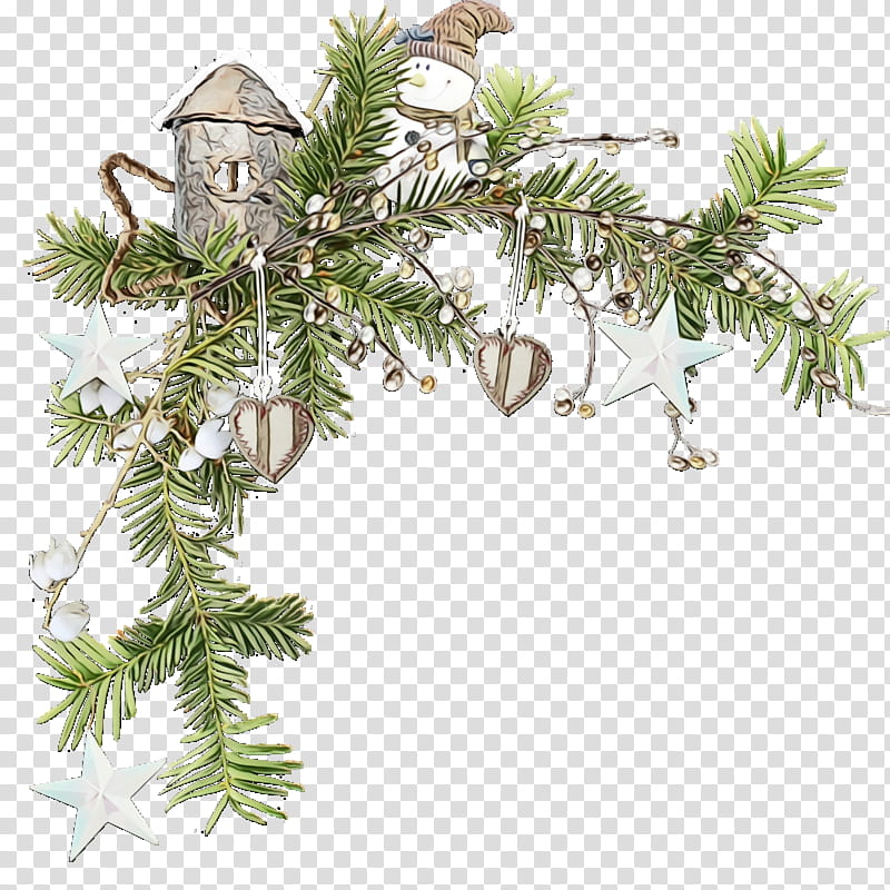 tree oregon pine plant shortleaf black spruce jack pine, Christmas Ornaments, Christmas Decoration, Christmas , Watercolor, Paint, Wet Ink, White Pine transparent background PNG clipart