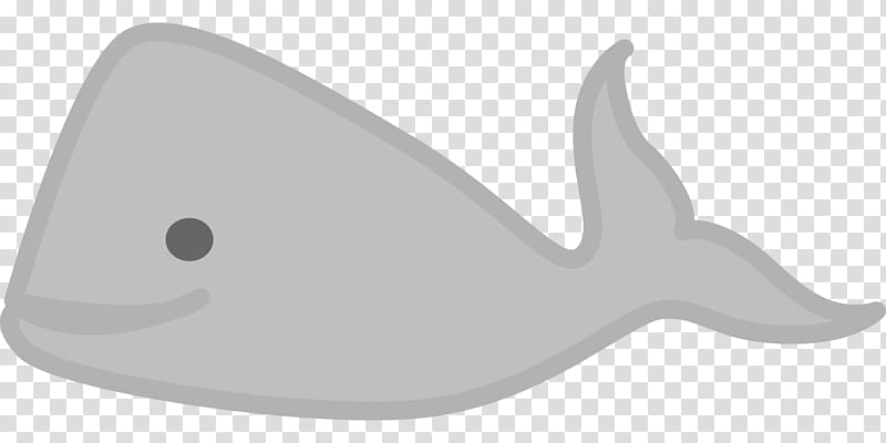 Whale, Gray Whale, Whales, Sea, Blue Whale, Beluga Whale, Ocean, Killer Whale transparent background PNG clipart