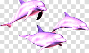 AESTHETIC GRUNGE, three purple dolphins transparent background PNG clipart