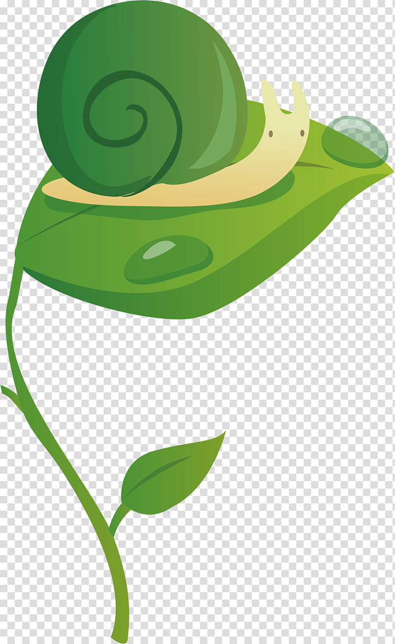 Green Grass, Snail, Leaf, Color, Plant, Plant Stem, Hat transparent background PNG clipart