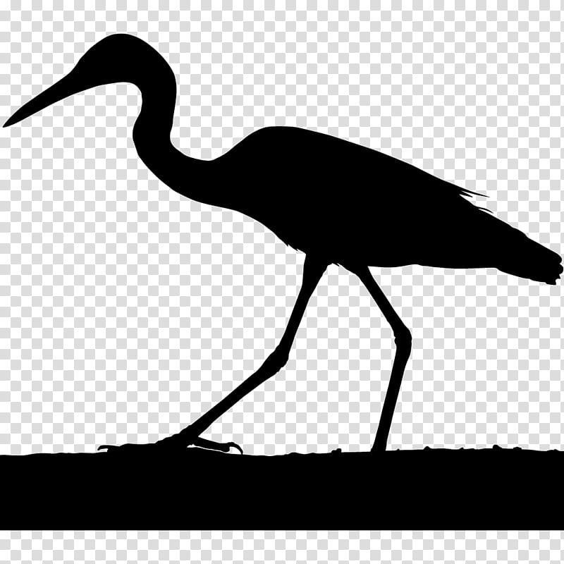 Birds Silhouette, Crane, Heron, Cornell Lab Of Ornithology, Egret, Great Blue Heron, All About Birds, Sandhill Crane transparent background PNG clipart
