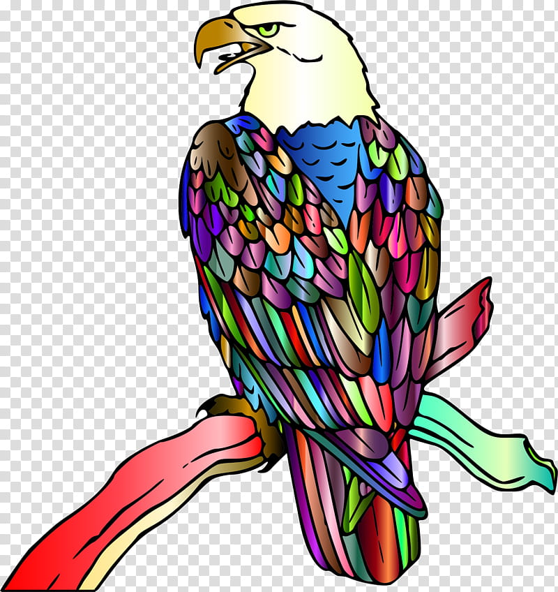 Bird Line Art, Bald Eagle, Bird Of Prey, Macaw, Logo, Beak, Falconiformes, Kite transparent background PNG clipart