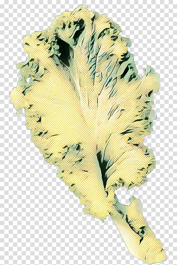 Feather, Pop Art, Retro, Vintage, Yellow, Leaf, Plant transparent background PNG clipart