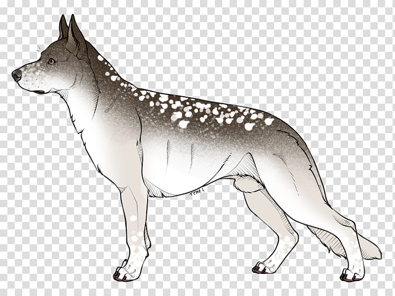 Wolf Drawing, Czechoslovakian Wolfdog, Saarloos Wolfdog, Dingo, RED Fox, Line Art, Animal, Breed, Leendert Saarloos, Wildlife transparent background PNG clipart