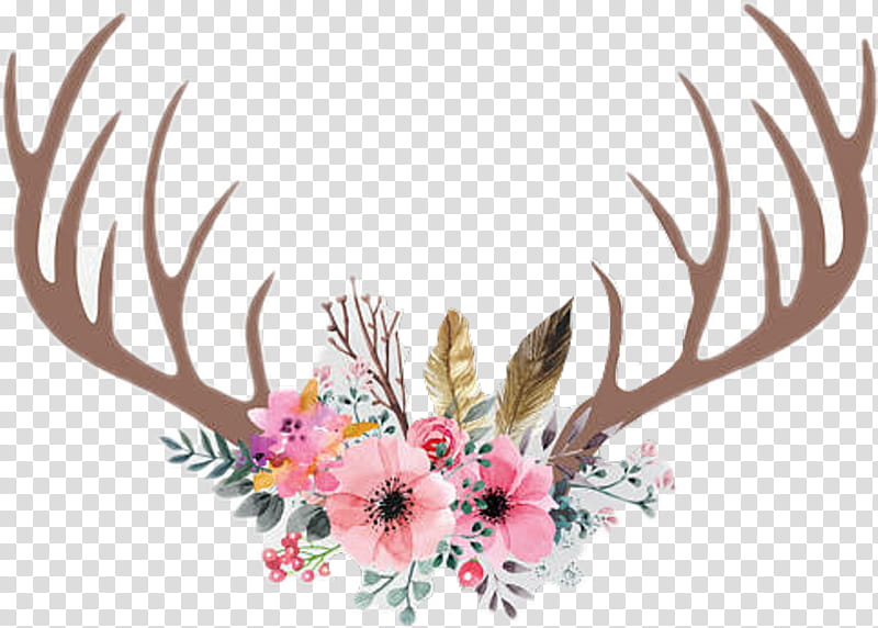 Floral Flower, Deer, Antler, Horn, Floral Design, Blanket, Feather, Head transparent background PNG clipart