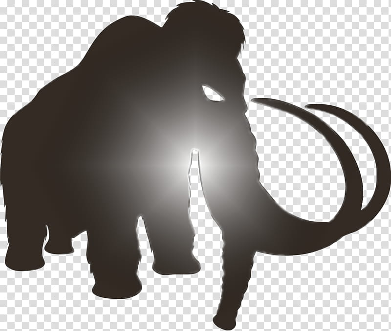 Indian Elephant, African Elephant, Mammuthus Primigenius, Drawing, Logo, Tusk, Asian Elephant, Silhouette transparent background PNG clipart