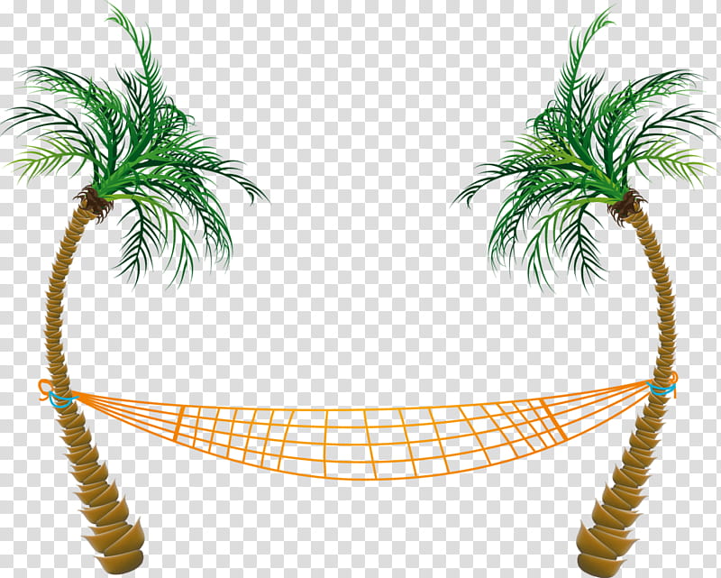 Date Tree Leaf, Palm Trees, Hammock, Coconut, Hammock Between Palm Trees, Chair, Arecales, Plant transparent background PNG clipart