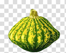 , green and yellow squash transparent background PNG clipart