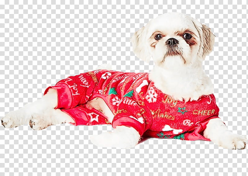 dog clothes dog shih tzu dog breed puppy, Watercolor, Paint, Wet Ink, Maltese, Companion Dog, Dog Supply, Lhasa Apso transparent background PNG clipart