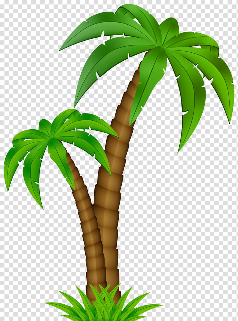 Coconut Tree, Palm Trees, Cartoon, Leaf, Green, Plant, Terrestrial Plant, Houseplant transparent background PNG clipart
