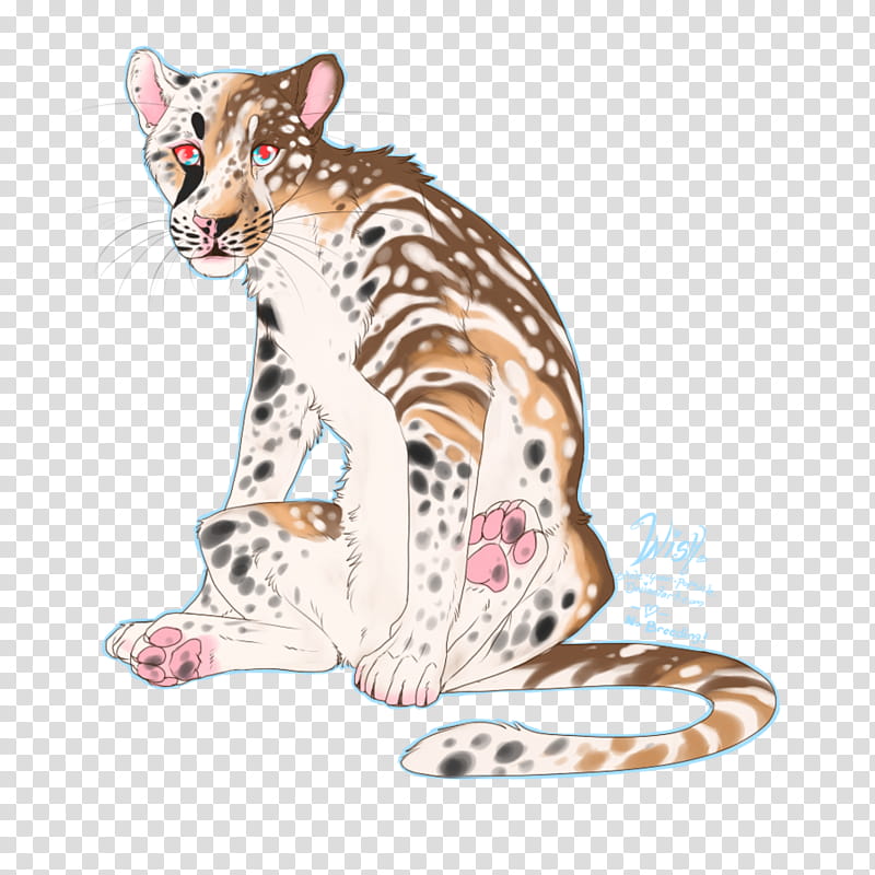 Kitten, Ocelot, Whiskers, Tiger, Lion, Siamese Cat, Tail, Animal Figure transparent background PNG clipart