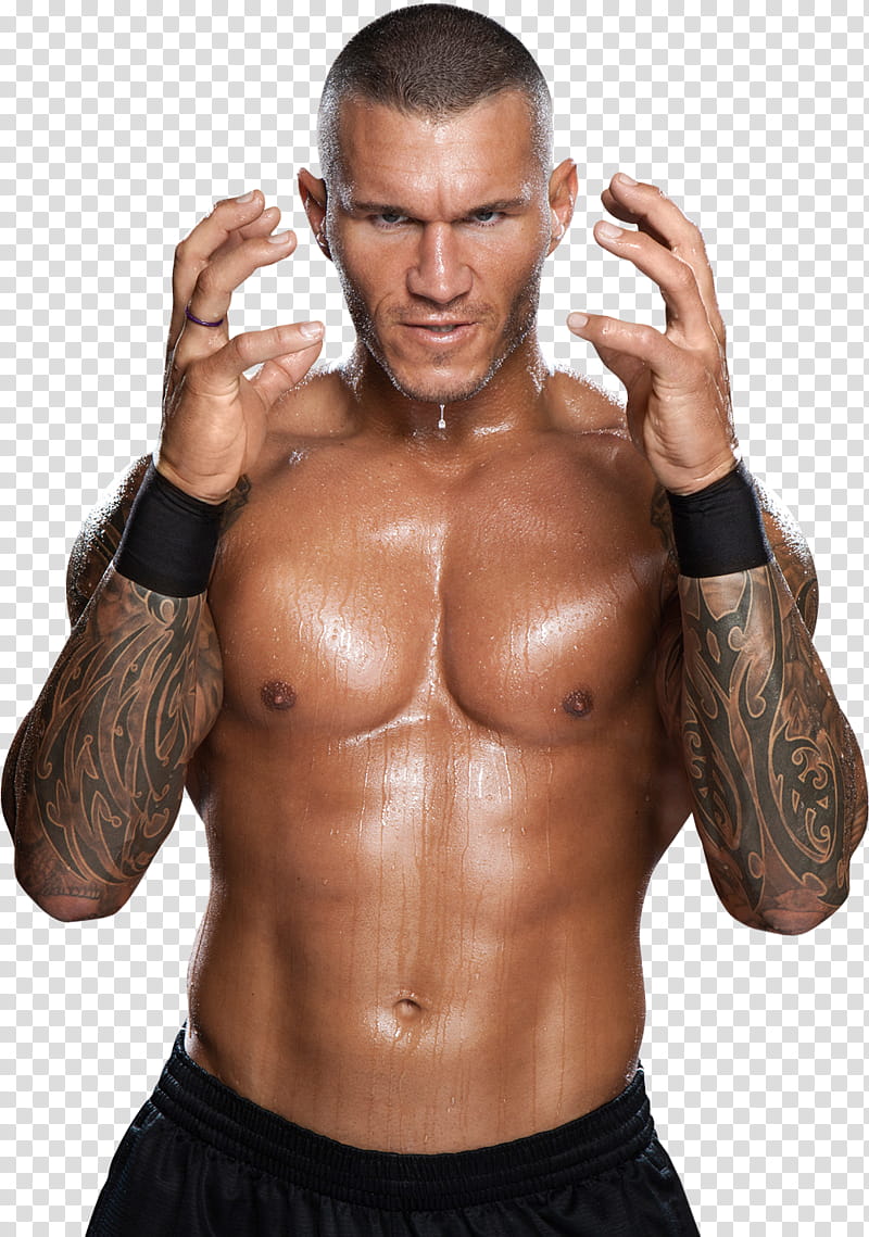 Randy Orton transparent background PNG clipart