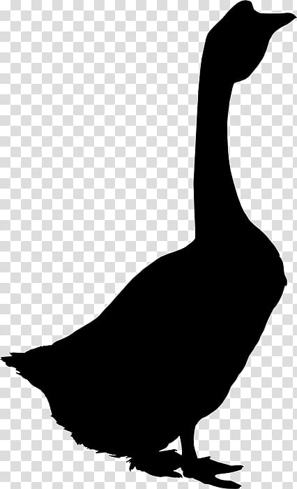 Bird Silhouette, Goose, Feather, Credit, Beak, Fotolia, License, Video transparent background PNG clipart