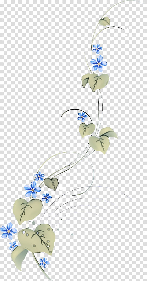plant flower morning glory wildflower, Borage Family, Flowering Plant, Forgetmenot transparent background PNG clipart