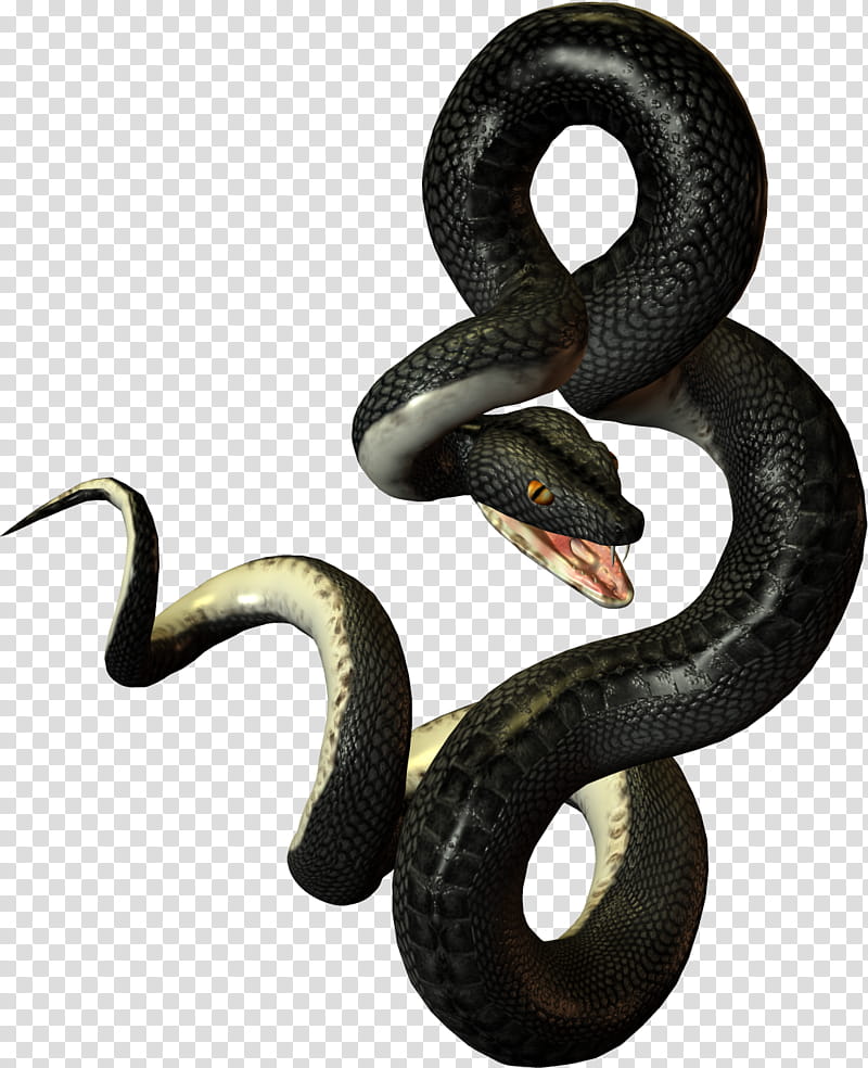 Black Snakes, black mamba snake illustration transparent background PNG clipart