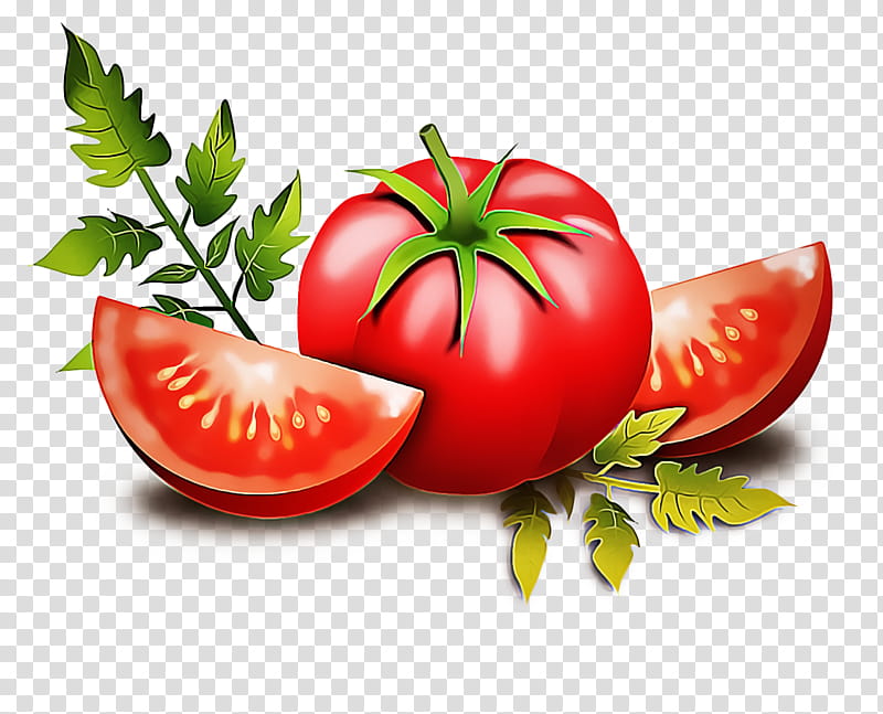 Tomato, Natural Foods, Vegetable, Solanum, Fruit, Plant, Plum Tomato, Vegan Nutrition transparent background PNG clipart