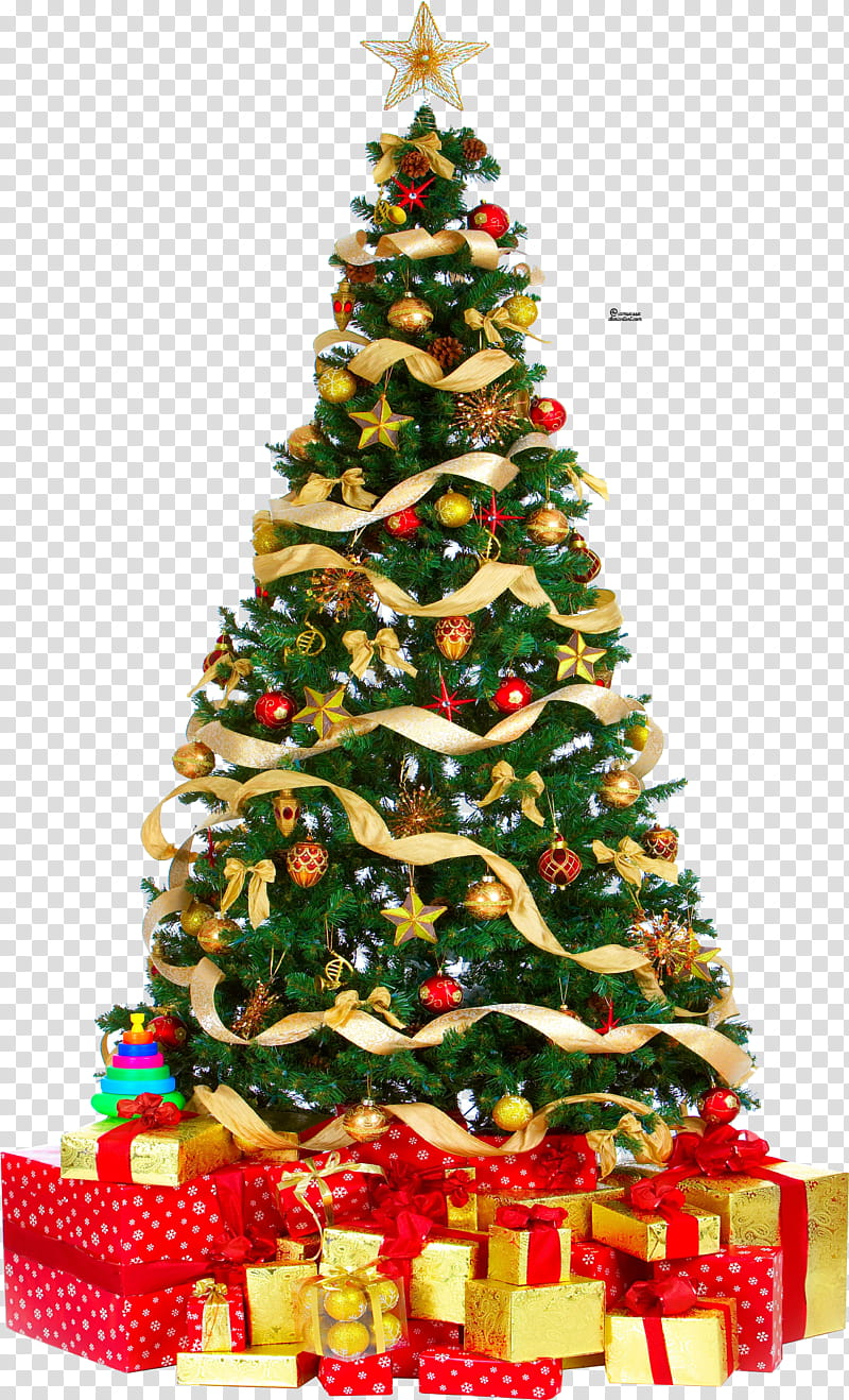 Xmas byNY psyche, green Christmas tree transparent background PNG clipart