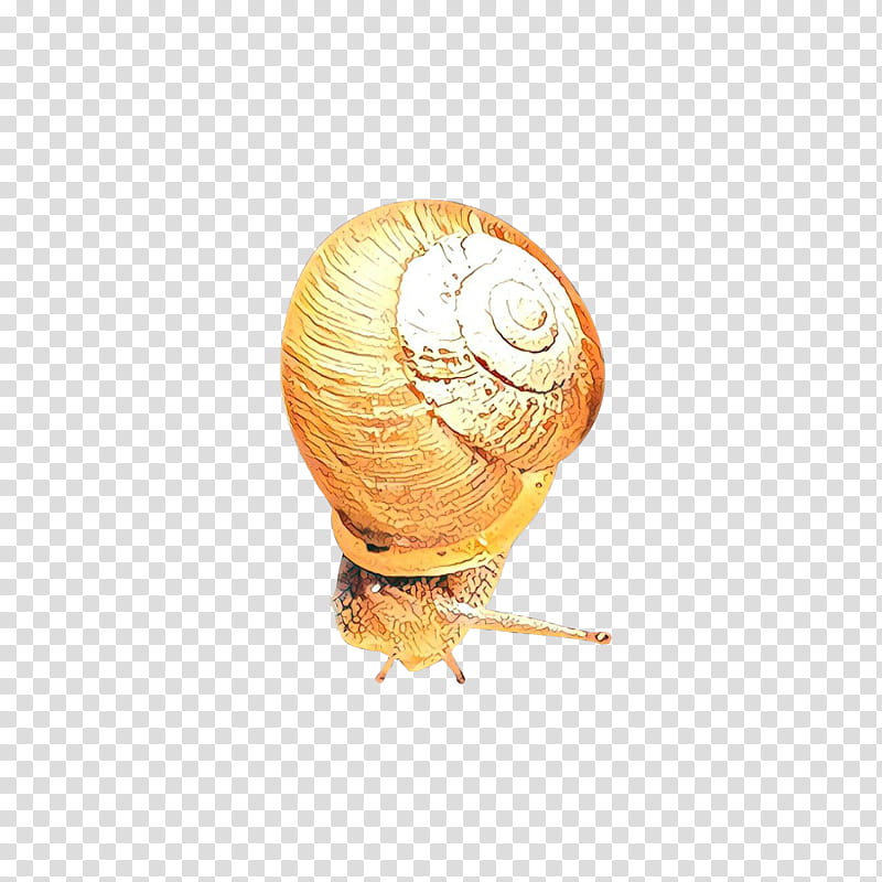 sea snail conch top, Cartoon transparent background PNG clipart