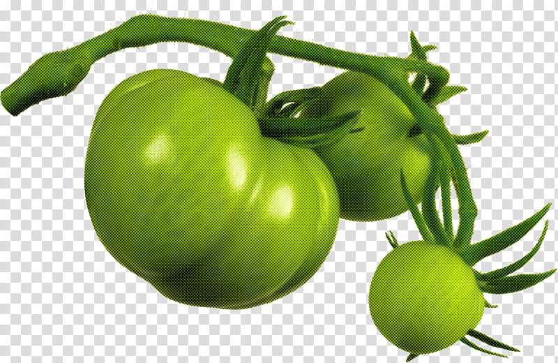 Tomato, Natural Foods, Green, Solanum, Vegetable, Plant, Tomatillo, Bush Tomato transparent background PNG clipart