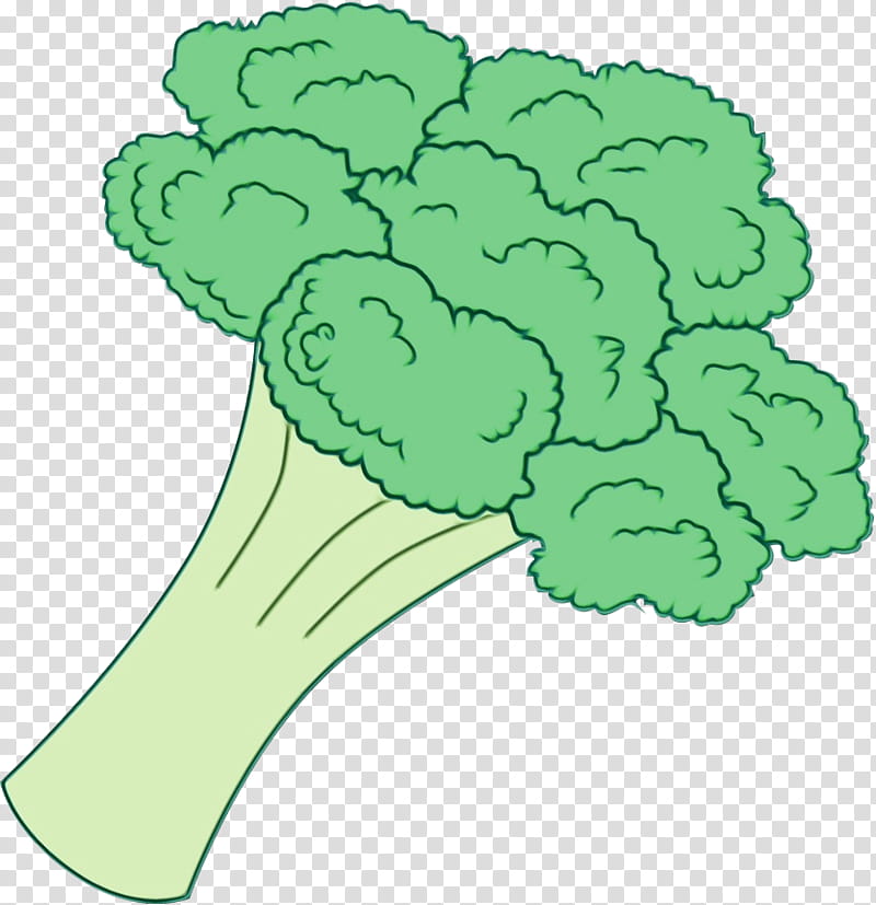 green leaf cruciferous vegetables broccoli plant, Watercolor, Paint, Wet Ink, Leaf Vegetable transparent background PNG clipart