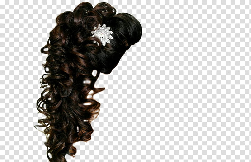 Hair , black curly hair extension transparent background PNG clipart