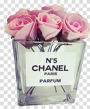 Pink, No  Chanel Parfum bottle transparent background PNG clipart