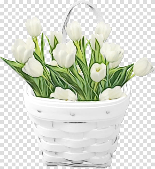 flower white flowerpot cut flowers plant, Watercolor, Paint, Wet Ink, Flowering Plant, Tulip, Petal, Snowdrop transparent background PNG clipart