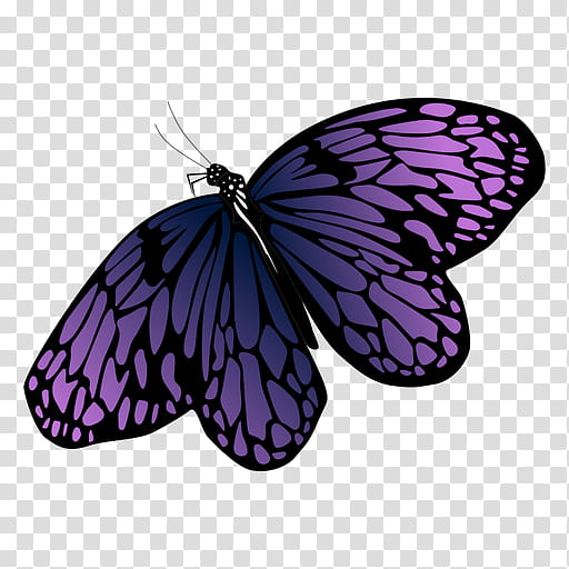 Butterfly Silhouette, Monarch Butterfly, Arts, Cartoon, Moths And Butterflies, Insect, Brush Footed Butterfly, Purple transparent background PNG clipart
