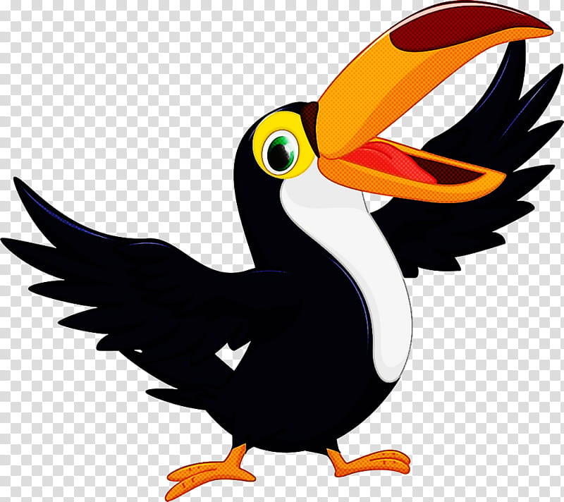bird toucan beak piciformes, Cartoon, Hornbill, Flightless Bird, Puffin transparent background PNG clipart