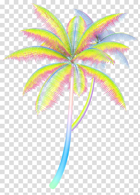 , yellow and blue coconut palm tree illustration transparent background PNG clipart