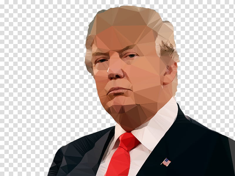 Donald Trump, United States Of America, Presidency Of Donald Trump, Donald Trump 2017 Presidential Inauguration, President Of The United States, Donald Trump Presidential Campaign 2016, Forehead, Chin transparent background PNG clipart