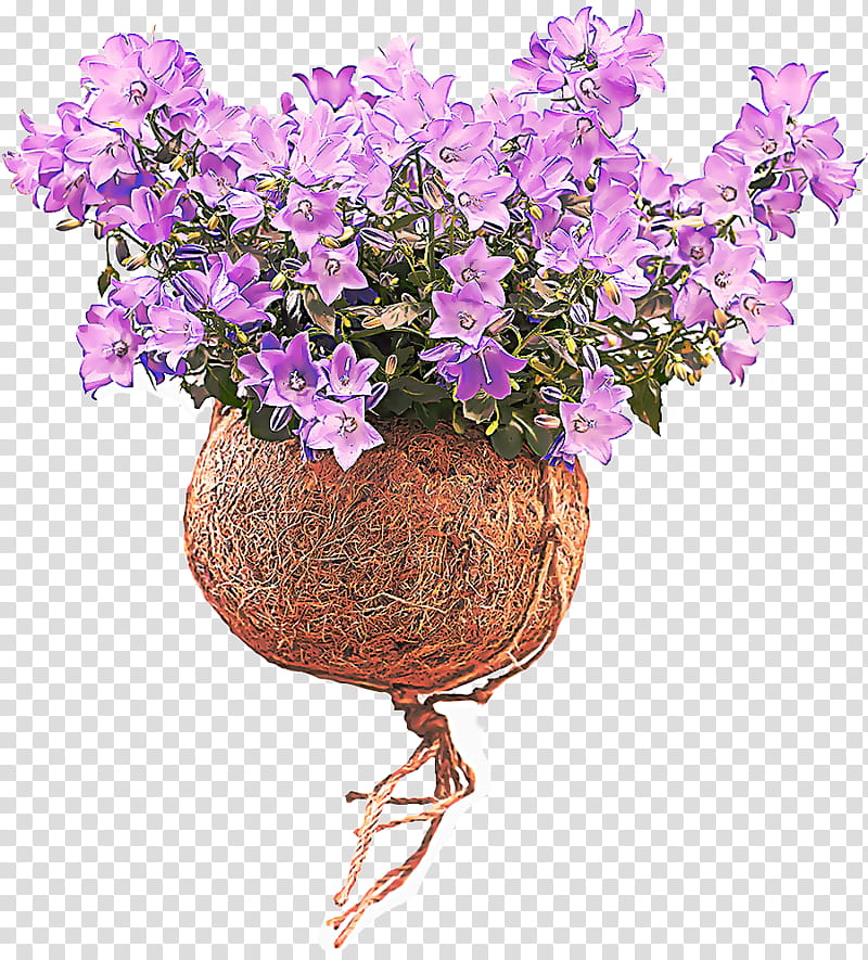 Lavender, Flower, Flowering Plant, Purple, Violet, Lilac, Flowerpot, Cut Flowers transparent background PNG clipart