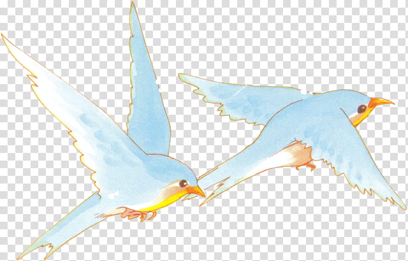 Blue Bird xp, two blue birds art transparent background PNG clipart