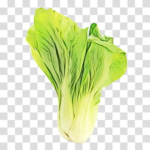 vegetable leaf vegetable plant food wild cabbage, Watercolor, Paint, Wet Ink, Chinese Cabbage, Flower, Romaine Lettuce transparent background PNG clipart thumbnail