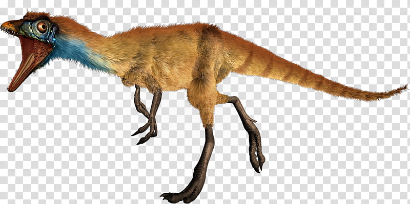 Jurassic Park, Compsognathus, Microraptor, Spinosaurus, Dinosaur Size, Diplodocus, Ceratosaurus, Megaraptor transparent background PNG clipart