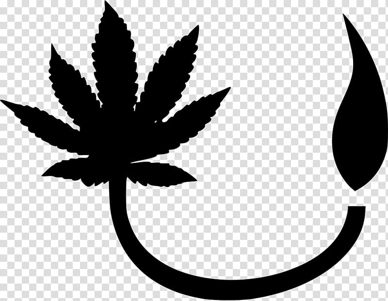 Cannabis Leaf, Marijuana, Cannabis Sativa, Medical Cannabis, Cannabis Ruderalis, Cannabis Cultivation, Shopmarijuanacom, Hemp transparent background PNG clipart