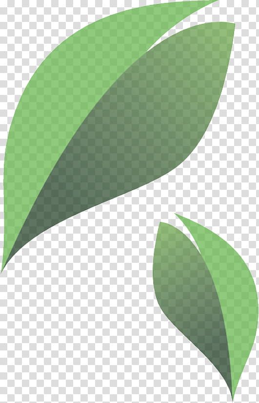 leaf green plant logo, Flower transparent background PNG clipart