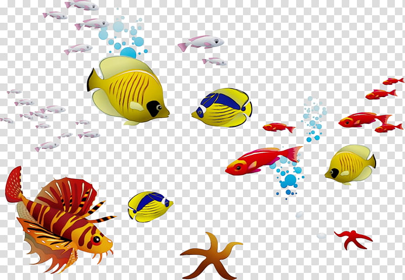 Coral Reef, Watercolor, Paint, Wet Ink, Insect, Marine Biology, Pollinator, Animal Figurine transparent background PNG clipart