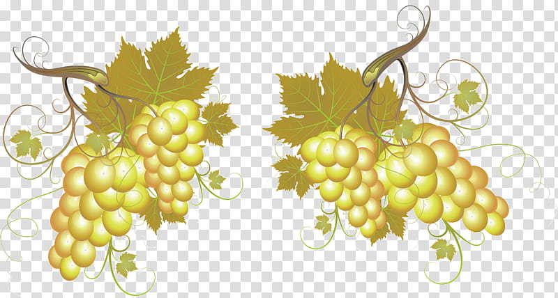 Grape, Common Grape Vine, White Wine, Champagne, Red Wine, Barrel, Oak, Food transparent background PNG clipart