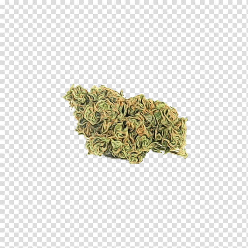 Lemon Flower, Sour Diesel, Haze, Marijuana, Cannabis, Medical Cannabis, Skunk, Wheres Weed transparent background PNG clipart