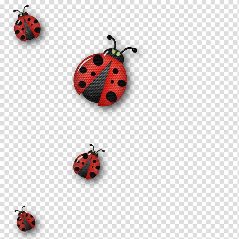 DeDecoraciones s, four red-and-black ladybug illustrations transparent background PNG clipart