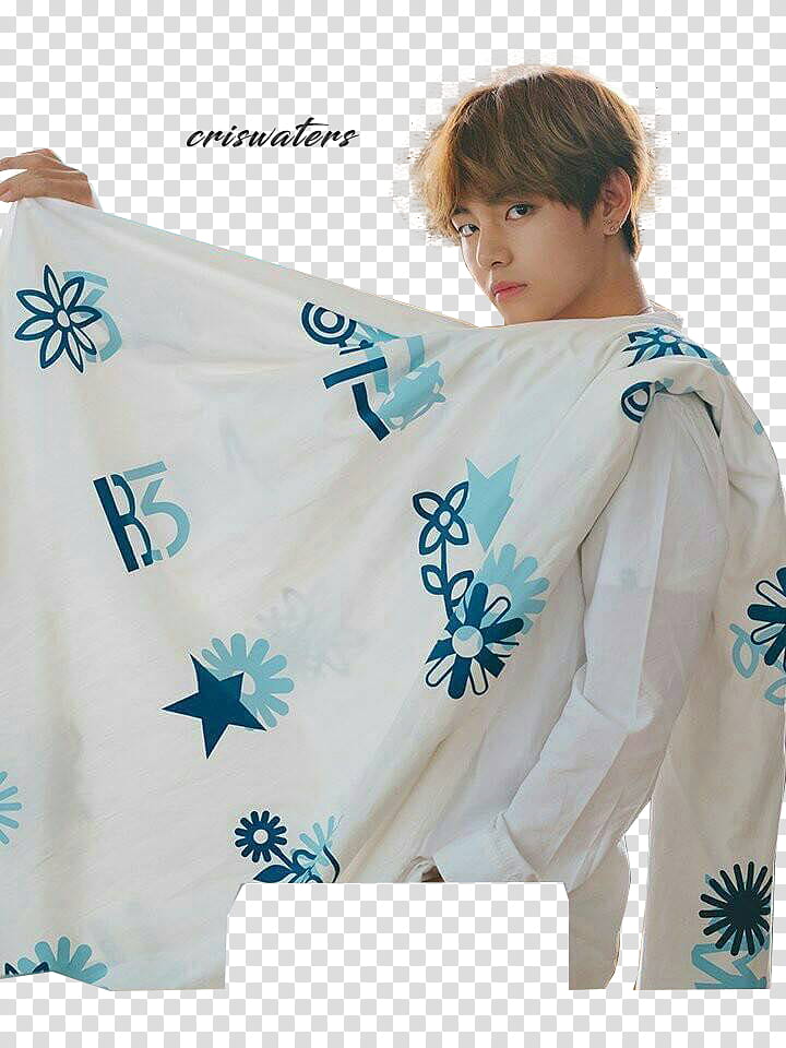 BTS for PUMA, V of BTS transparent background PNG clipart